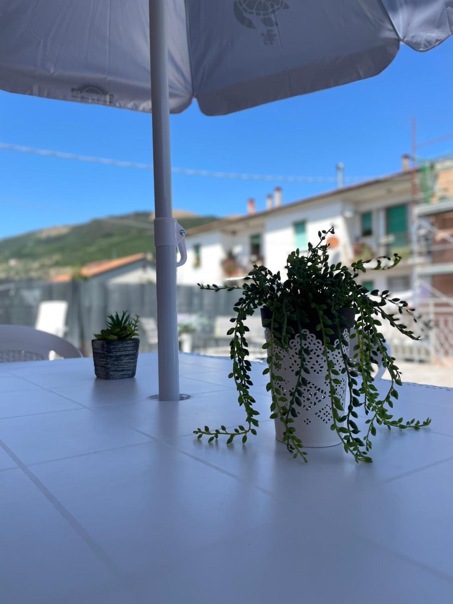 La Signora Dei Fiori Apartment Gubbio Exterior photo